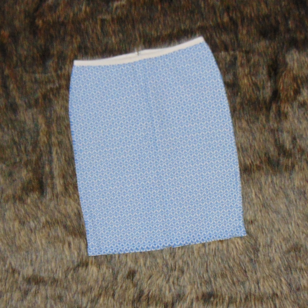 Talbots Petite Skirt (2P)